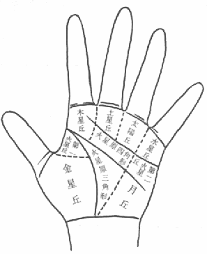 手相占い 細かな線